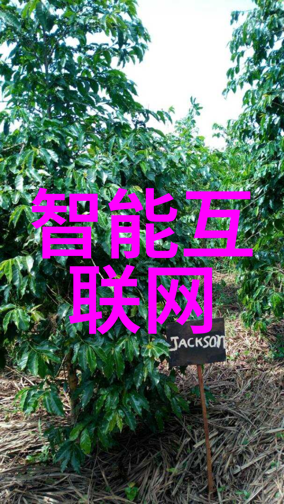 物联网迅速升温原因何在