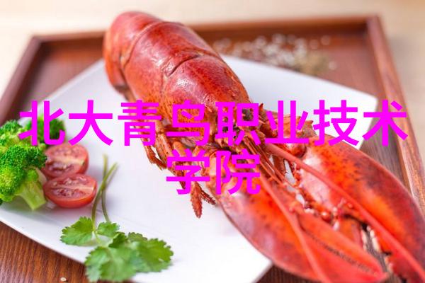 快讯2025年探索推进人工智能标准化全球首个机器人半程马拉松即将开赛