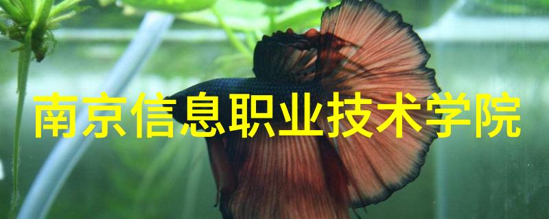 全球首个我国首台自研眼手脑介入手术机器人获批