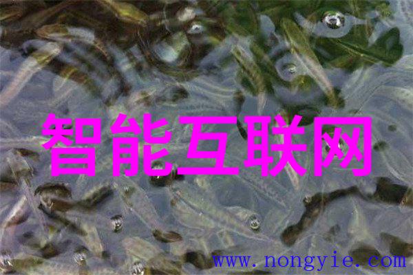 2011中国物联网大会四月即将在京召开
